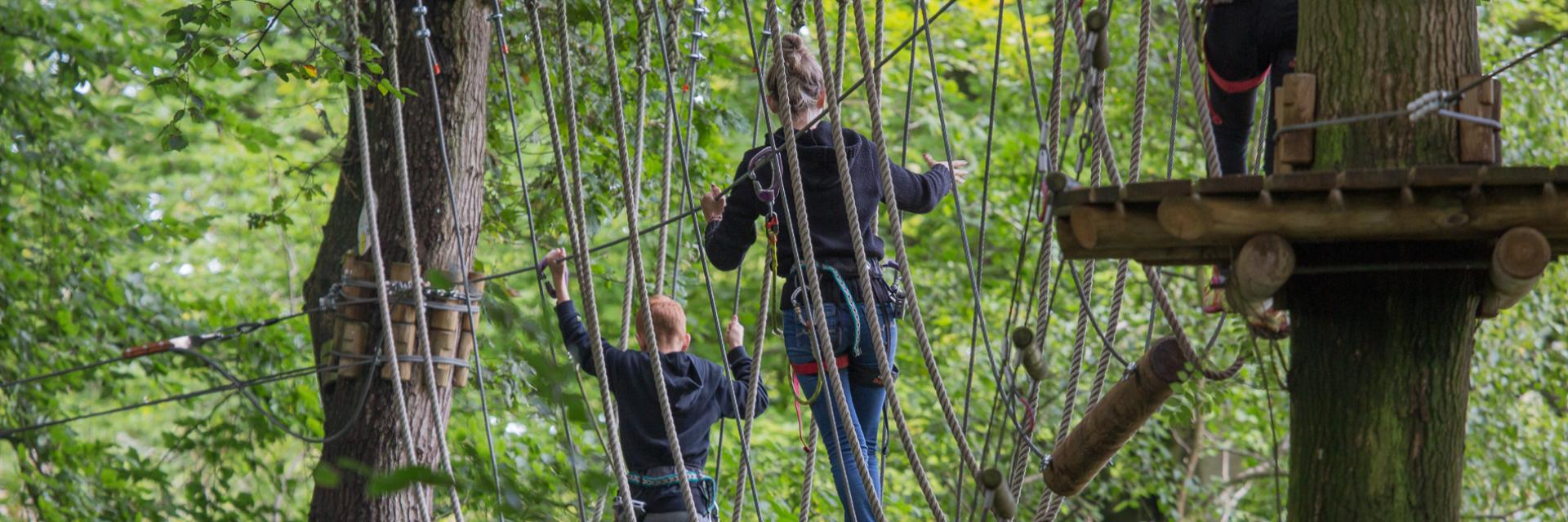 Parcours dans les arbres