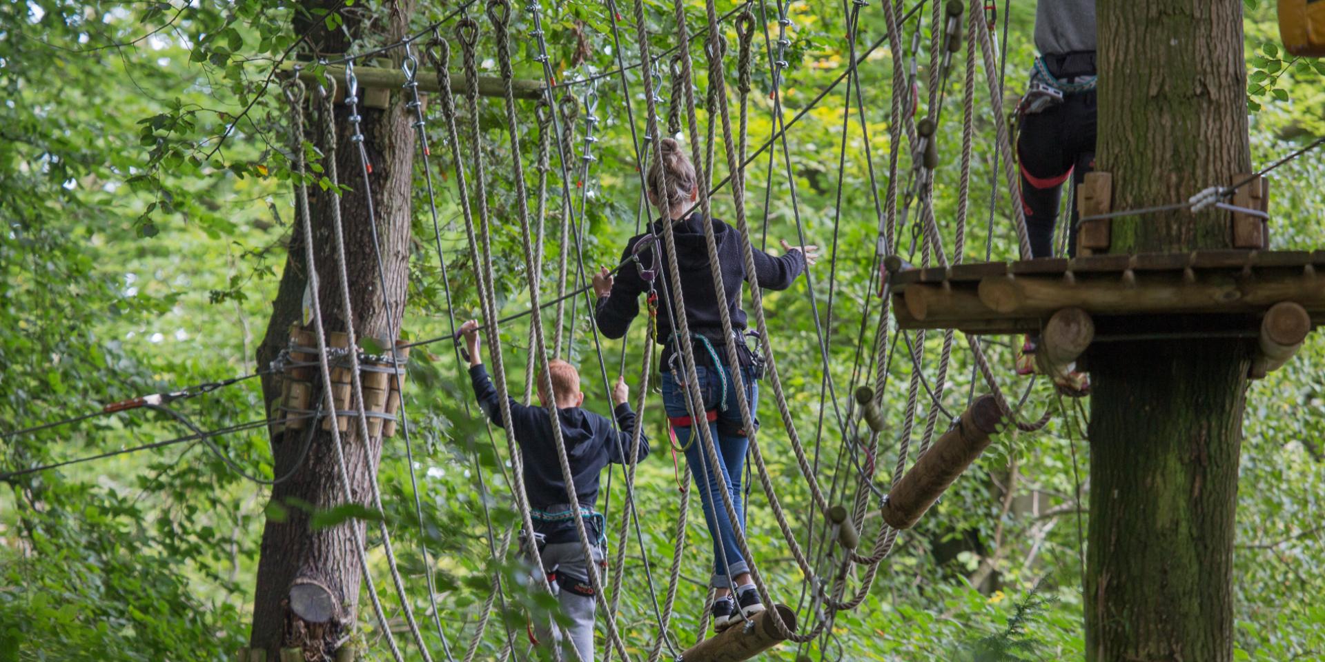 Test the courses at Arb aventures