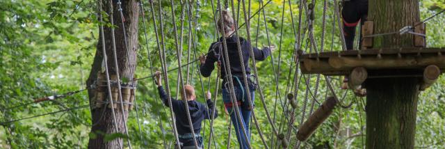 Parcours dans les arbres