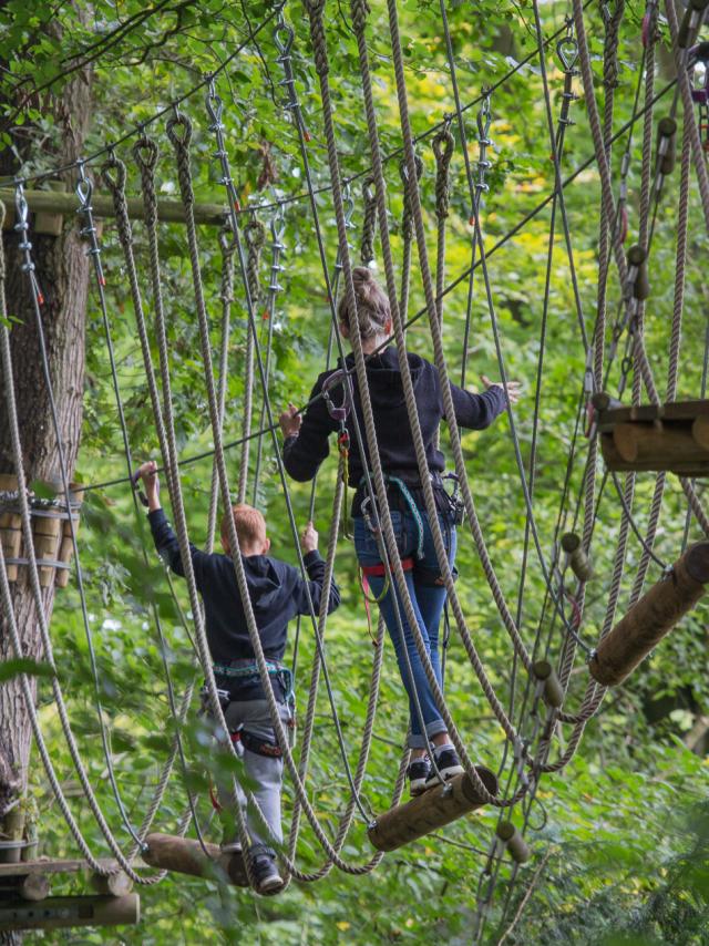 Parcours dans les arbres