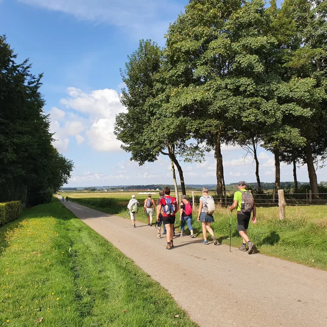 Chemin randonnée vers Sainte-Foy