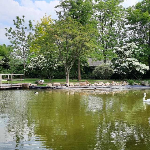 Le plan d'eau du parc William Farcy à Offranville