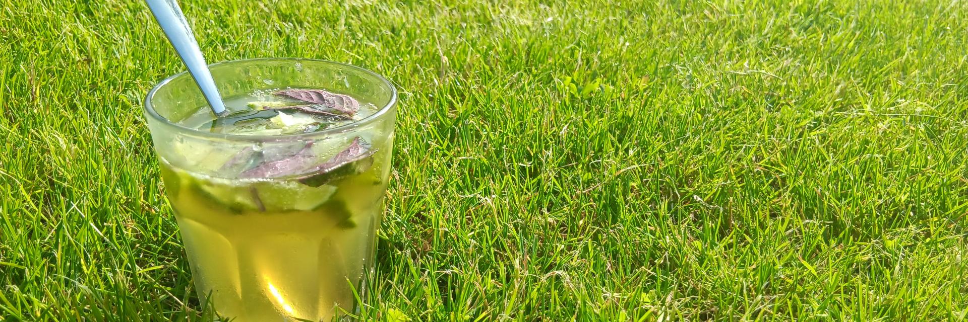 Mojito Normand Sur L'herbe