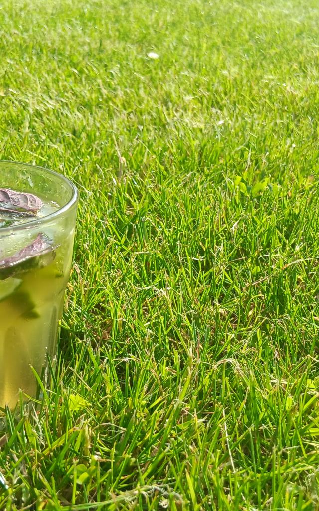 Mojito Normand Sur L'herbe