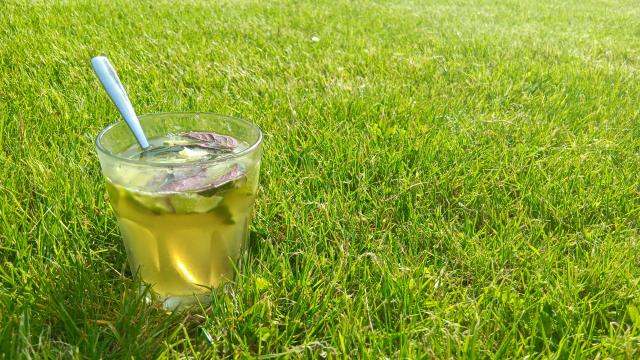 Mojito Normand Sur L'herbe