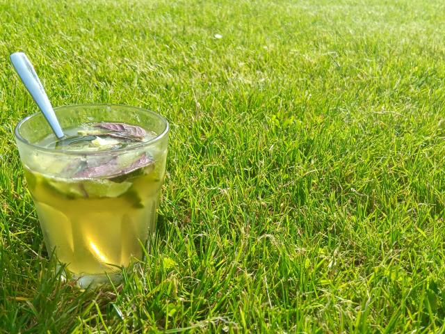 Mojito Normand Sur L'herbe