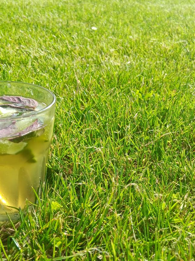 Mojito Normand Sur L'herbe