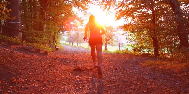 Trail en forêt