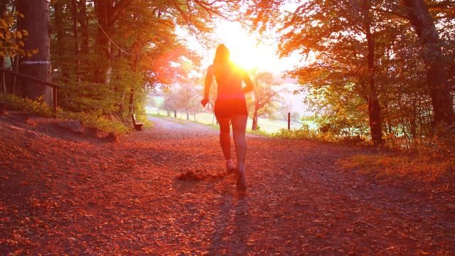 Trail en forêt