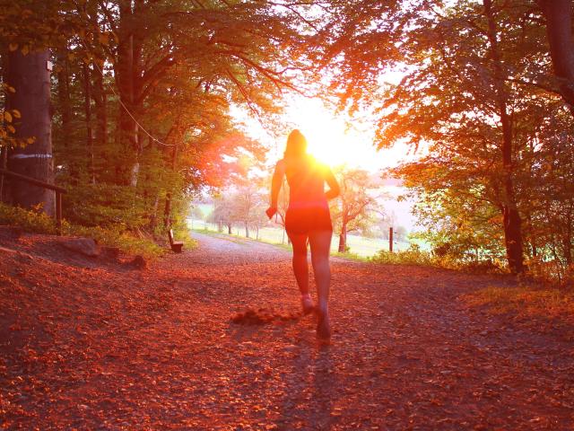 Trail en forêt