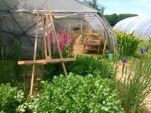 Jardin Partages Masc De Totes
