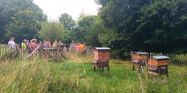 Rando Abeille Noire Longueville Juillet23 3