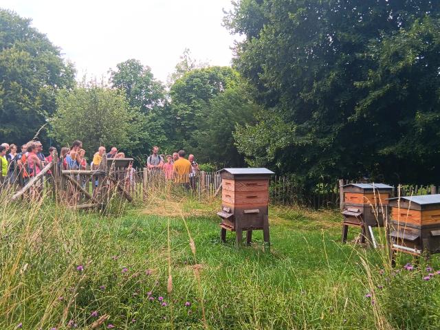 Rando Abeille Noire Longueville Juillet23 3