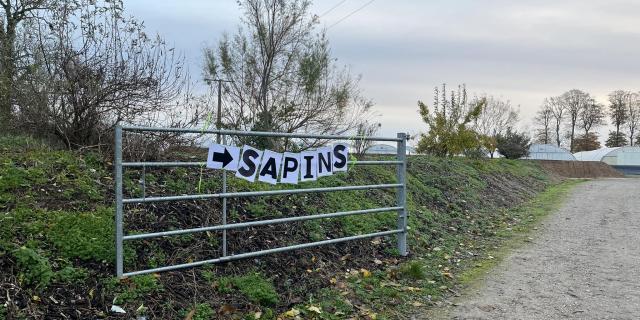 Mont Sapin Auppegard