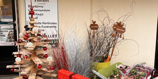 Vitrine Auffay Nature en Fleur