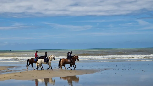 Chevaux Plage Quiberville Cheval Equitation