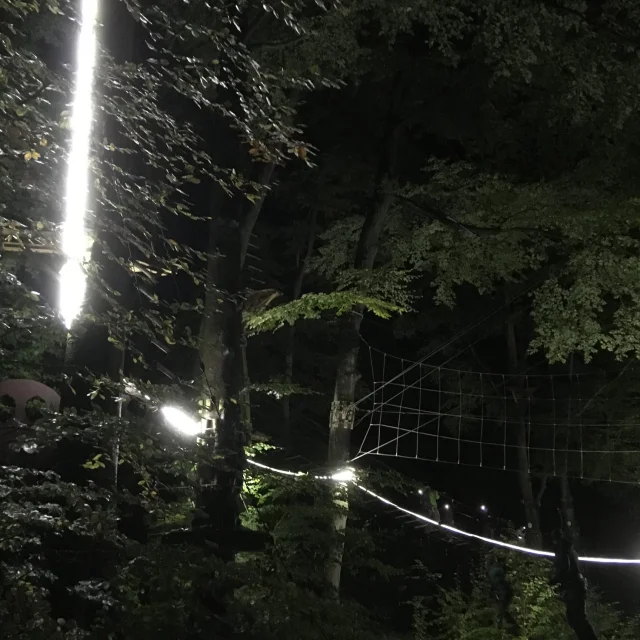Nocturne Arbaventure