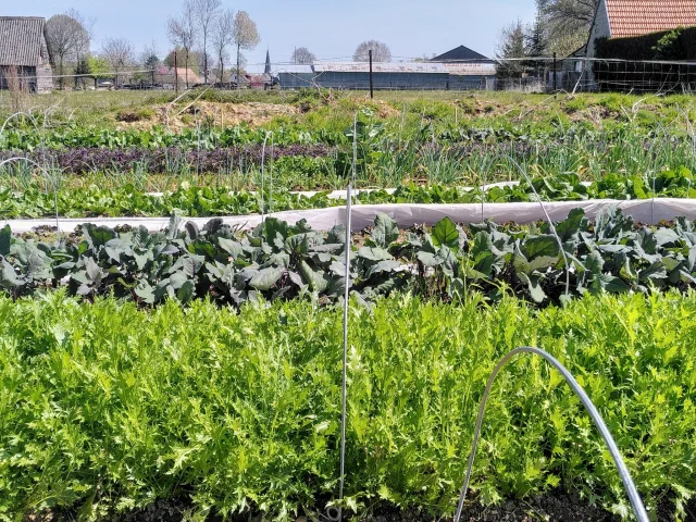 Jardins De Marcelle