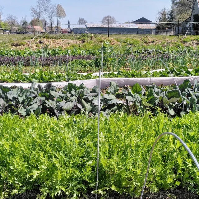 Jardins De Marcelle