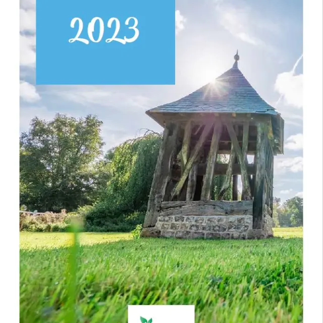 Capture Rapport Dactivites