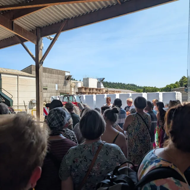 Visite de la linerie