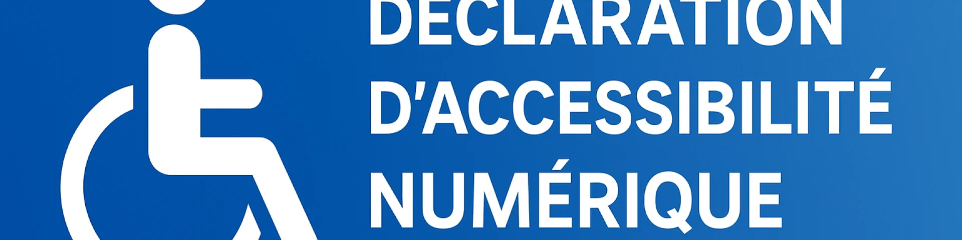 Pictogramme Déclaration Accessibilité Numérique
