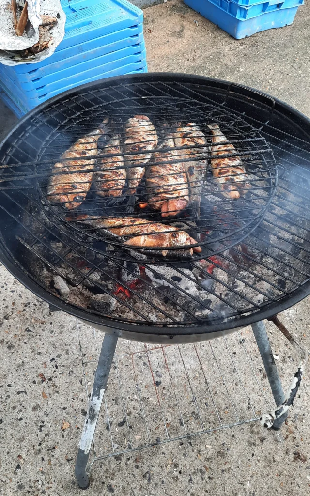 Harengs grillés à Quiberville