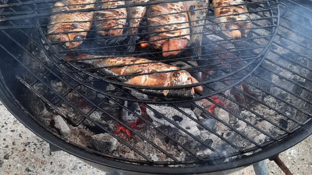 Harengs grillés à Quiberville