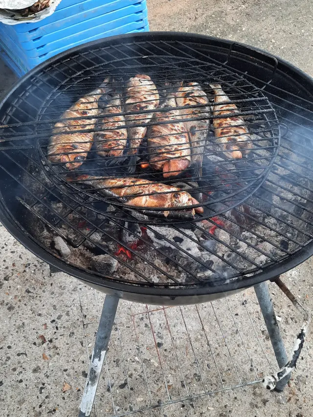 Harengs grillés à Quiberville