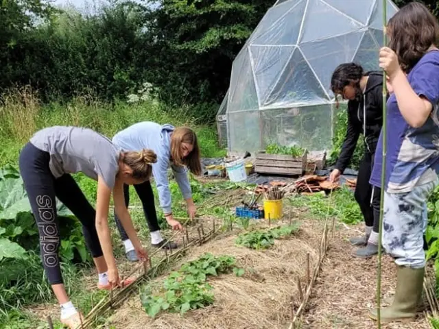 Chantier collaboratif aux AMANDIERS St Crespin