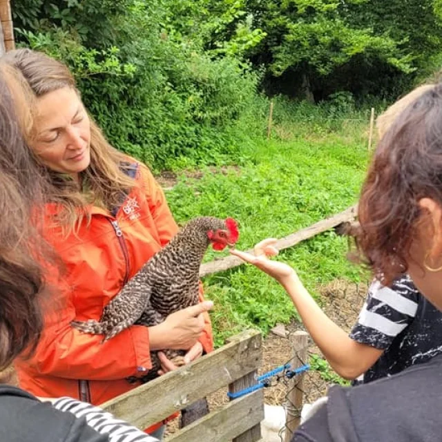 Jessica Amandiers Animation Nature