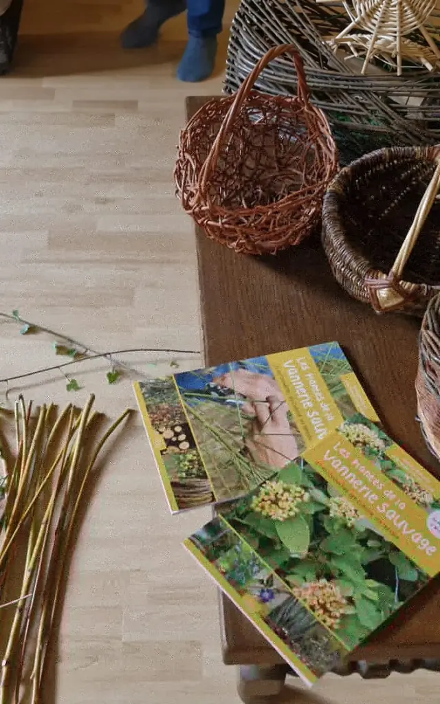 Branches Collectees Et Paniers