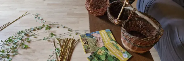 Branches Collectees Et Paniers