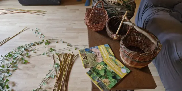 Branches Collectees Et Paniers