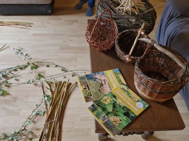 Branches Collectees Et Paniers