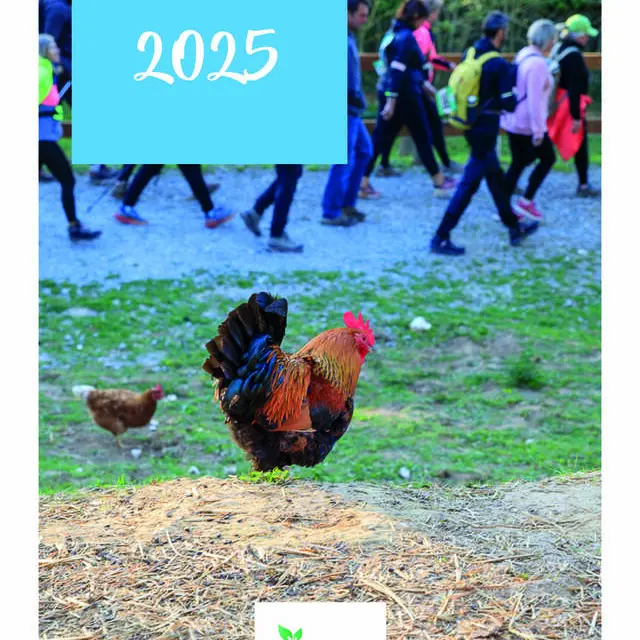 Couverture Rapport Dactivites 2025