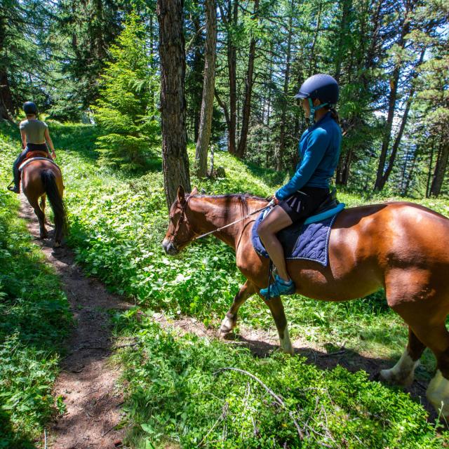 Balade à cheval dans la forêt de l'Ours au Ranch le Caribou