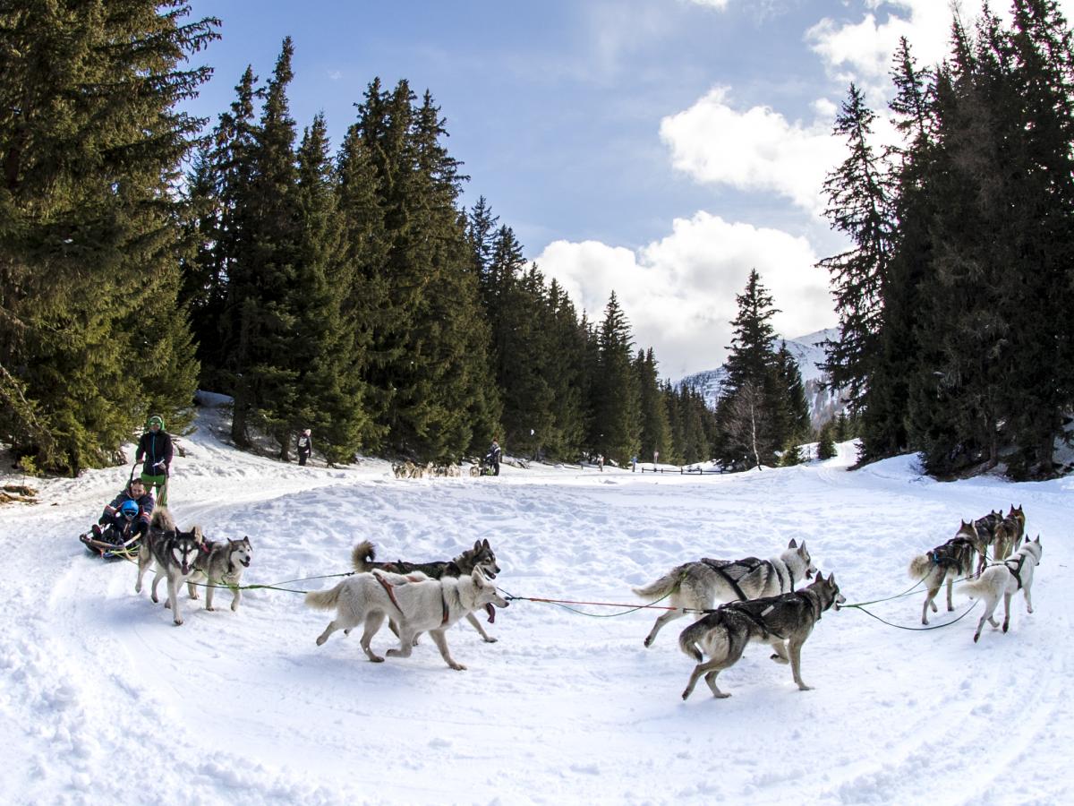 Webcam Test visual data 3