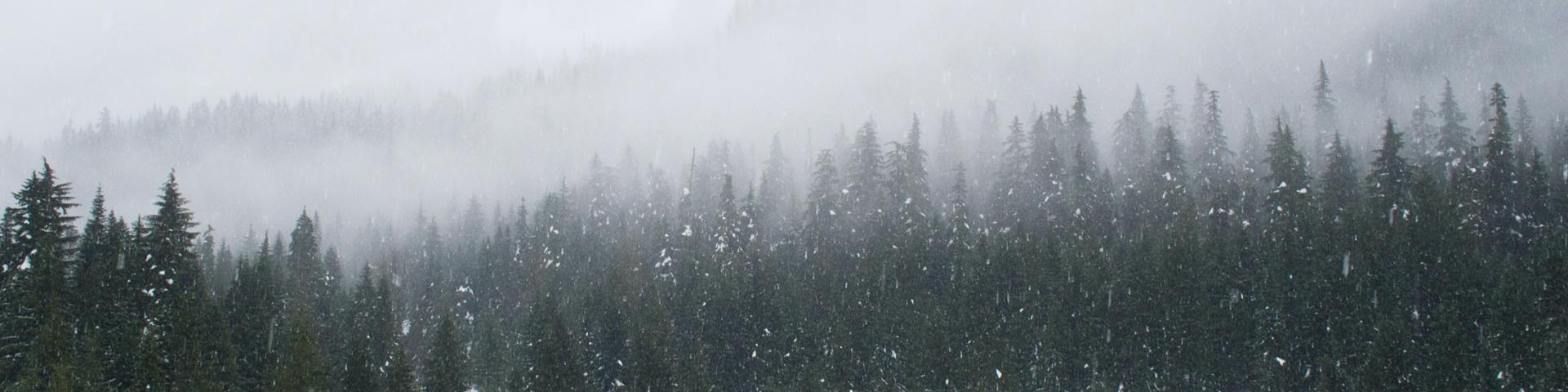 adam-chang-IWenq-4JHqo-unsplash