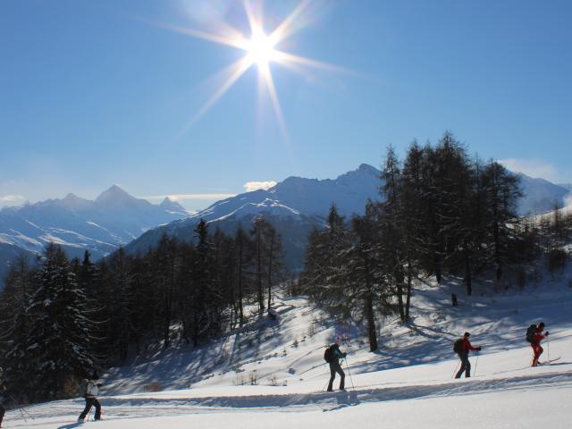 Img 0696