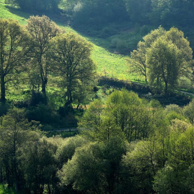 Wild And Authentic Nature Tourisme Creuse Limousin