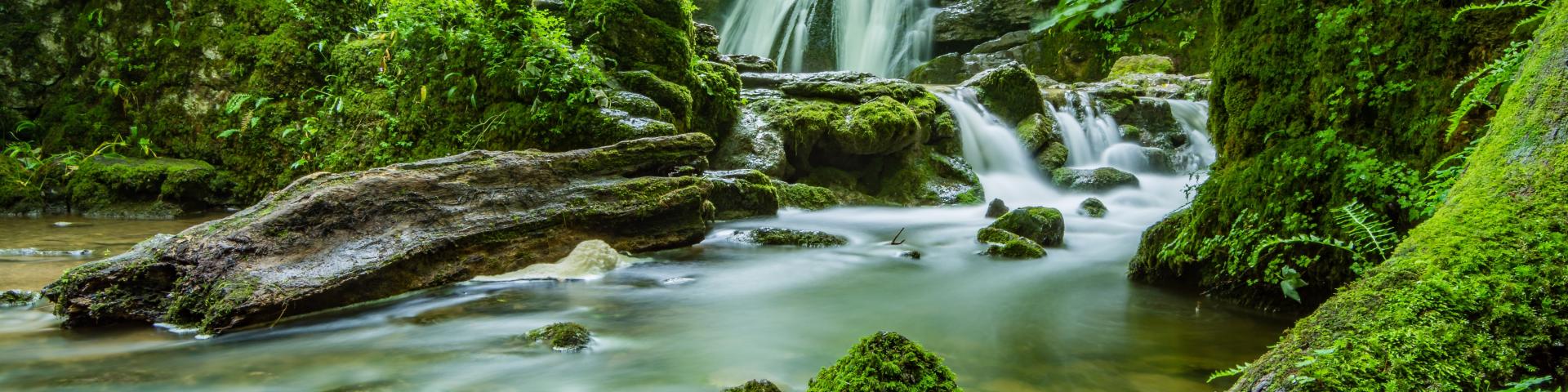 Beautiful Cascade Creek 460621