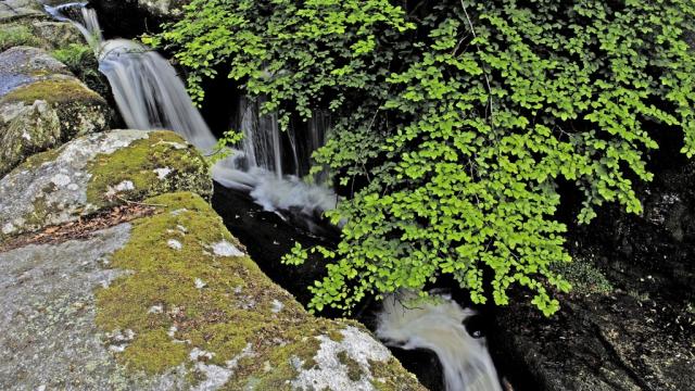 Cascades des Jarrauds à St Martin Château