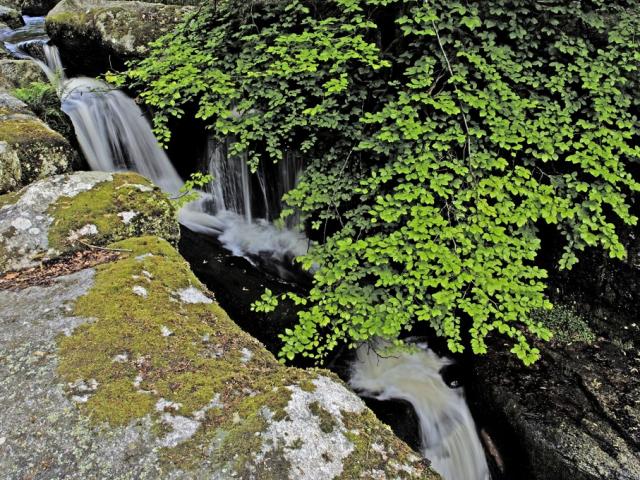 Cascades des Jarrauds à St Martin Château