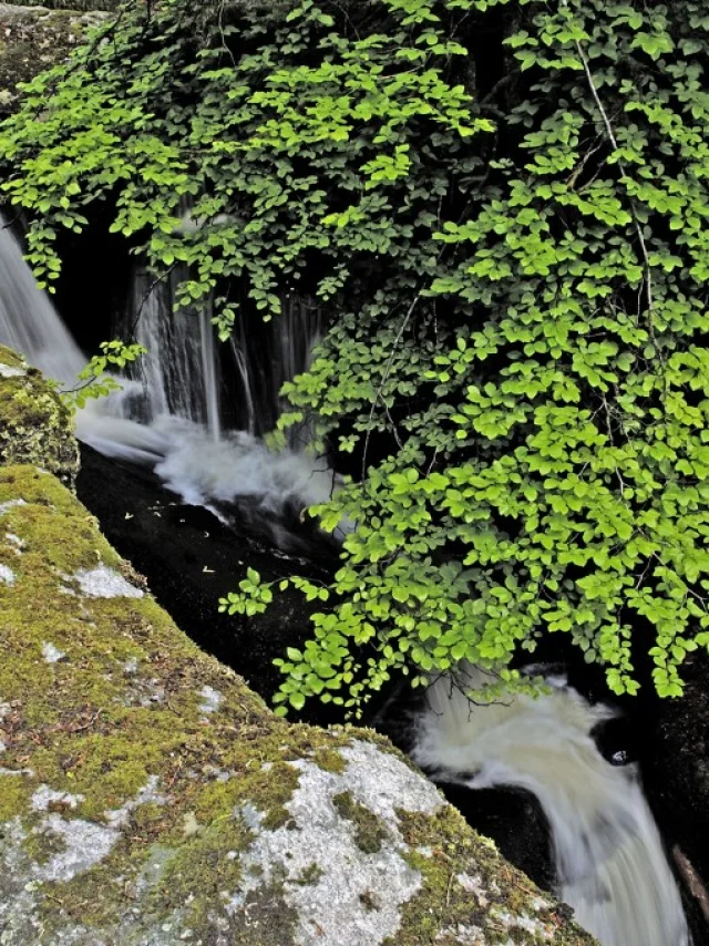 Cascades des Jarrauds à St Martin Château