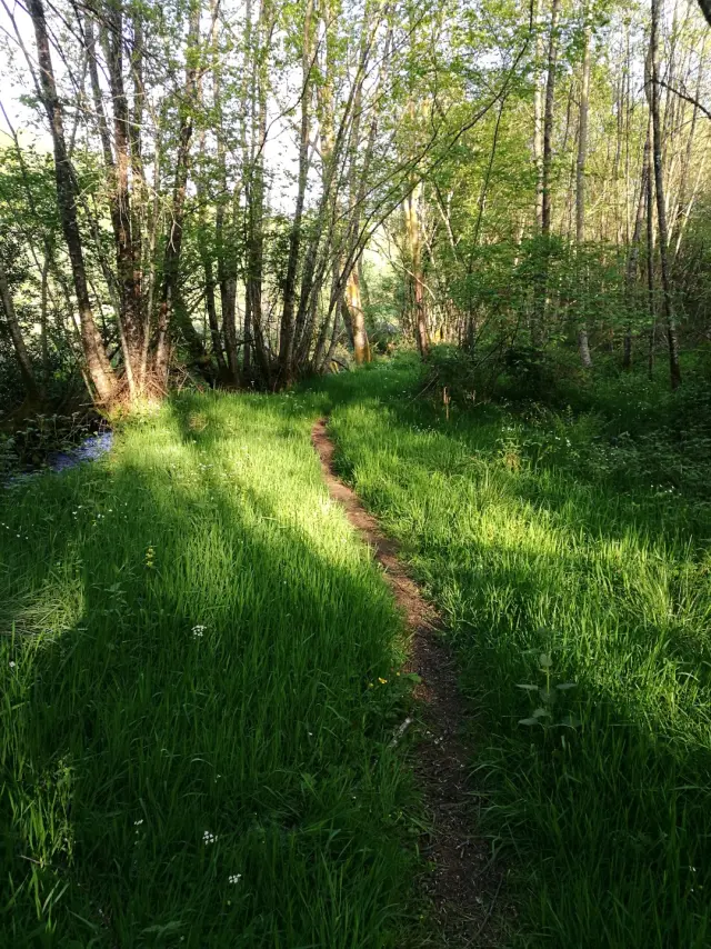 Chemins Le Bois Des Boeufs