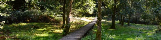 Passerelle en bois menant à la tourelle dans les gorges du Verger à Bourganeuf