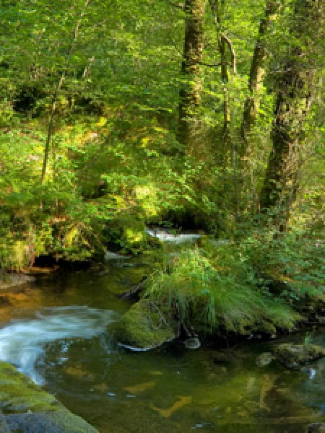 Panoramique des cascades d'Augreolles à Saint Pardoux Morterilles