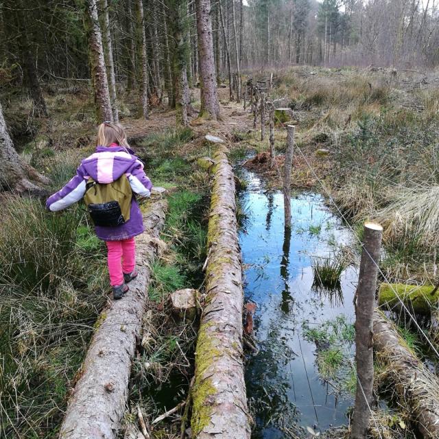 Traversée Le Bois Des Boeufs