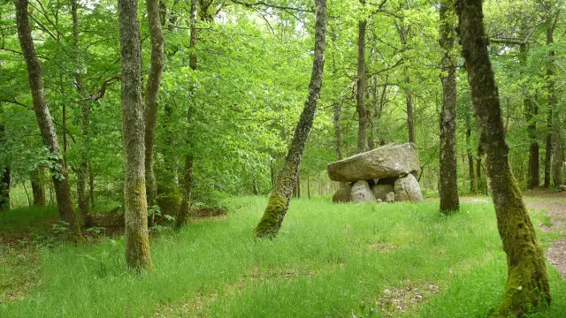 Dolmen d'Urbe à Crocq